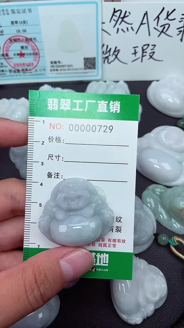 颈饰未镶嵌翡翠缅甸天然翡翠微微瑕0729