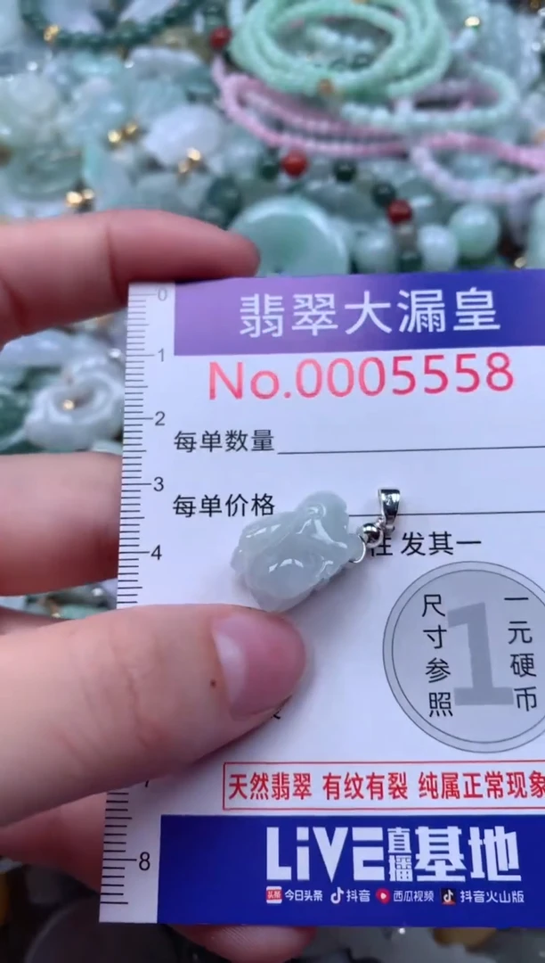 翡翠未镶嵌颈饰5558