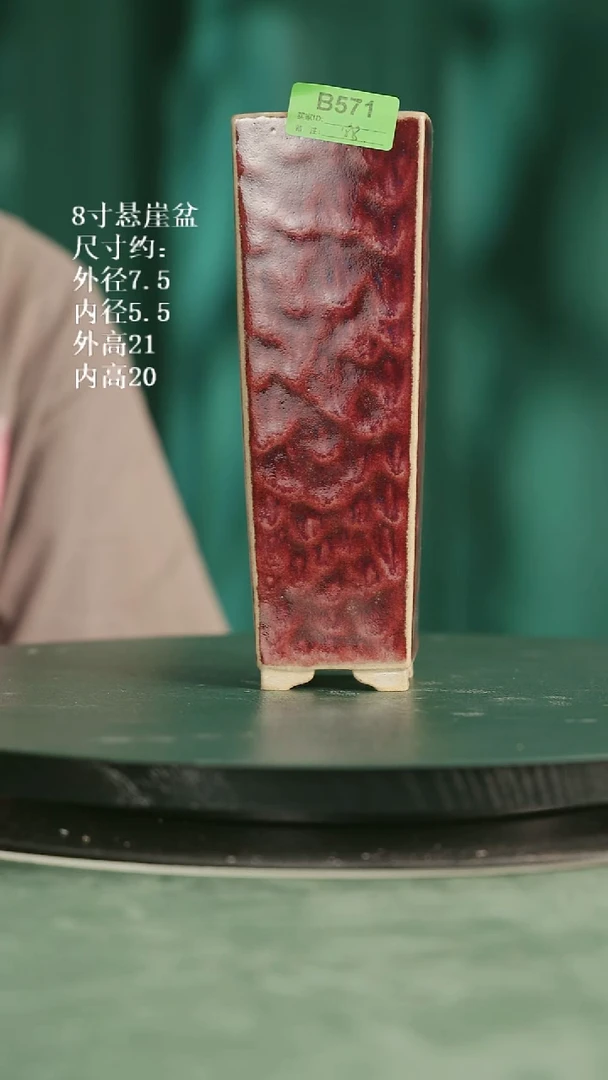 8寸悬崖盆   571