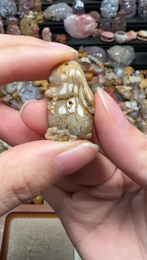 颈饰未镶嵌硅化珊瑚（珊瑚玉）738