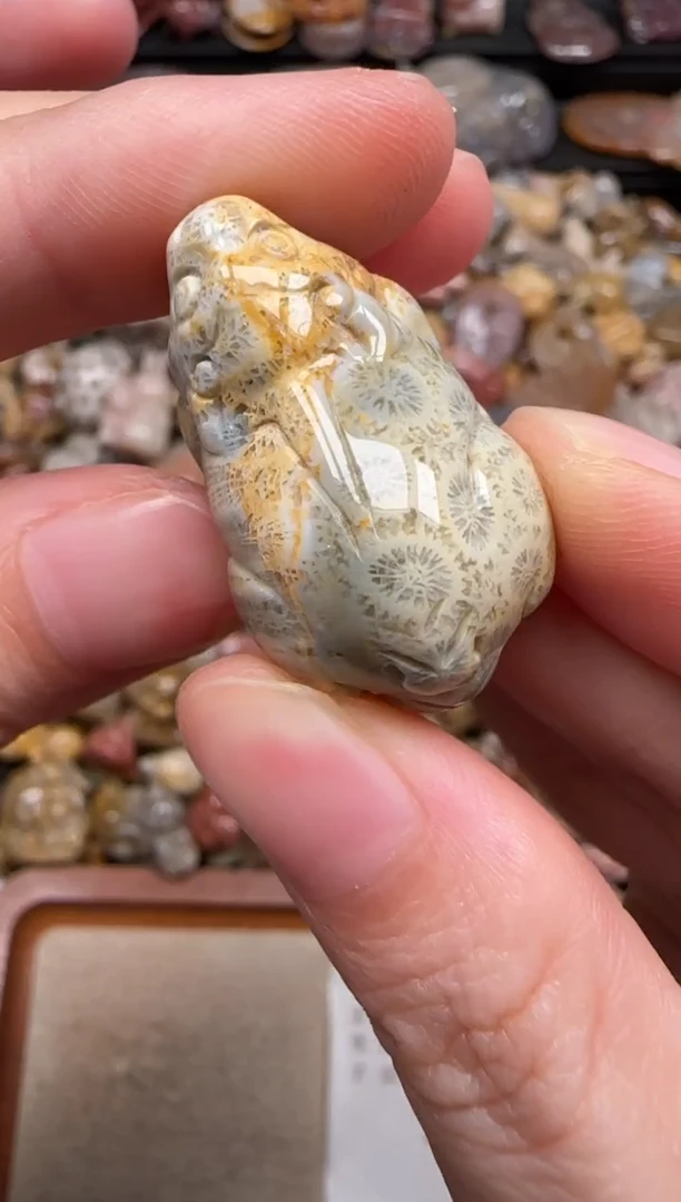 硅化珊瑚（珊瑚玉）未镶嵌颈饰242