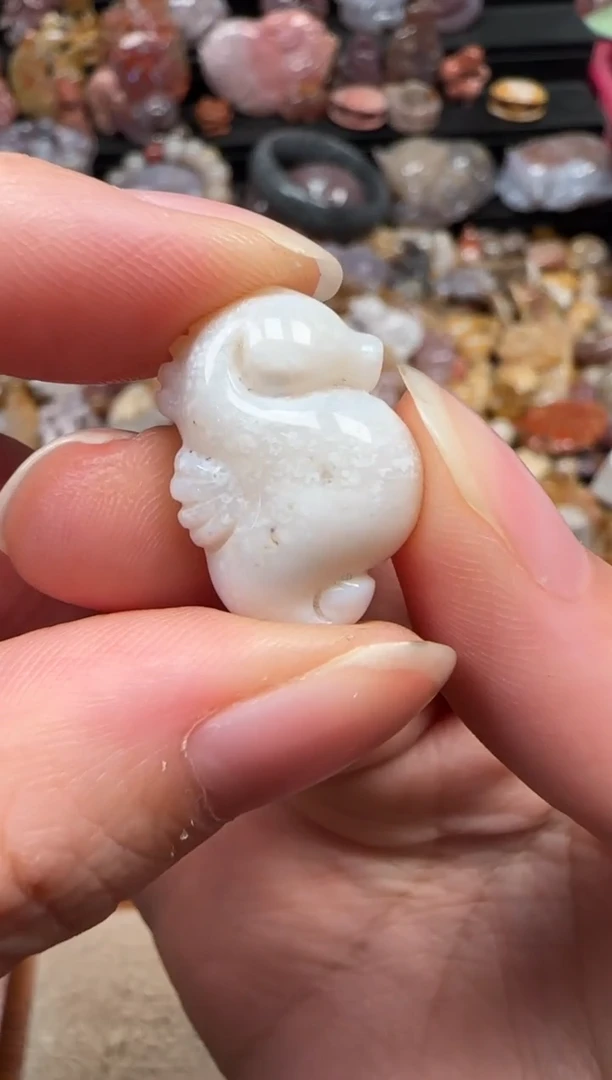 颈饰未镶嵌硅化珊瑚（珊瑚玉）791