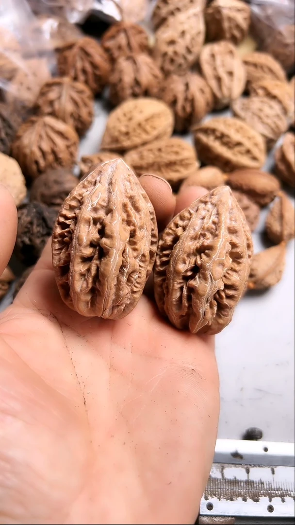 核桃东北野生大秋子6