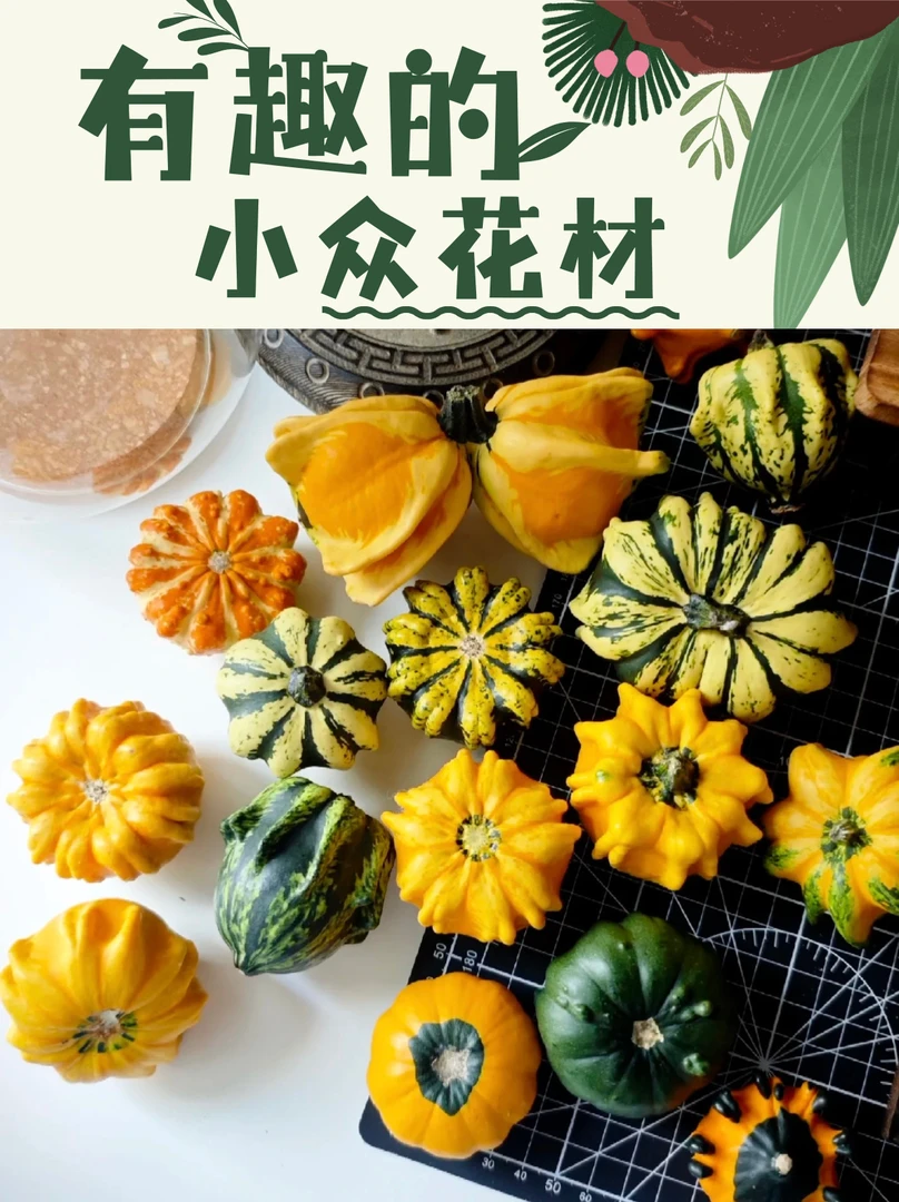 451墨西哥七彩疙瘩葫芦摆件高端把玩天然原皮云南基地直采