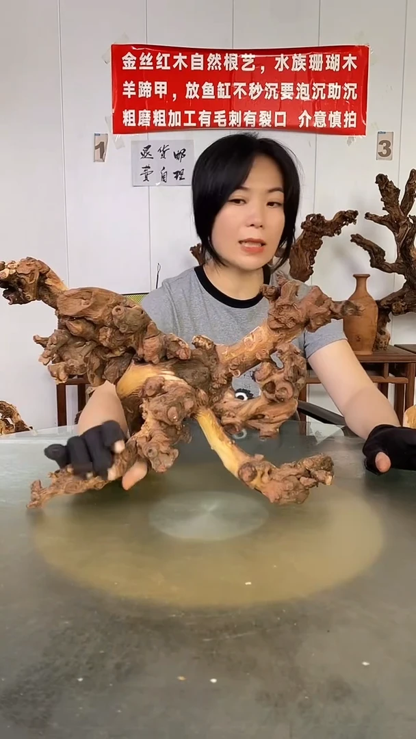 香榧木李*叔金丝红木 羊蹄甲