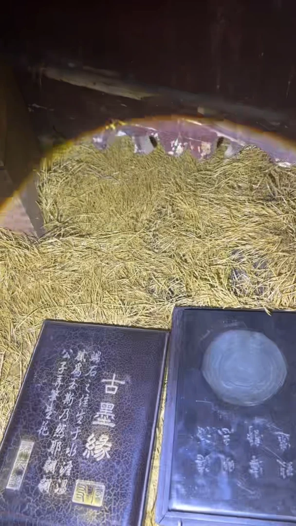 崩豆崩豆嘎嘎牛波