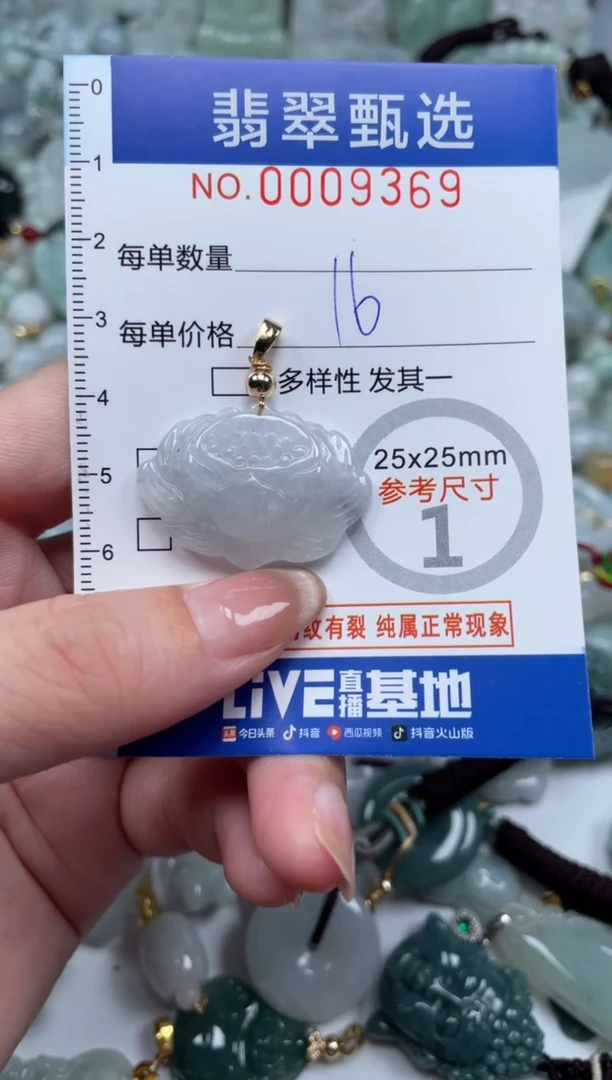 翡翠未镶嵌颈饰00..9369