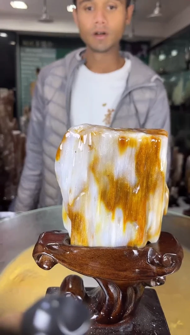 未镶嵌珠宝奇石硅化玉缅甸天然树化玉摆件