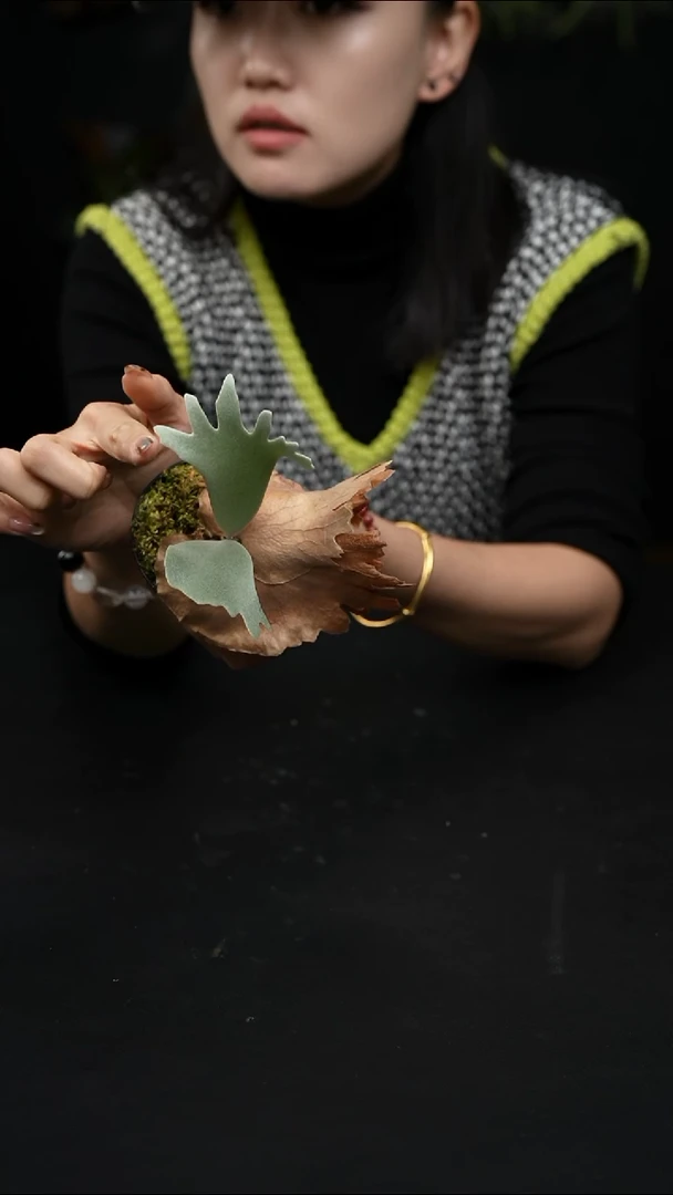 不开花植物LC1212-18（2）千山雪