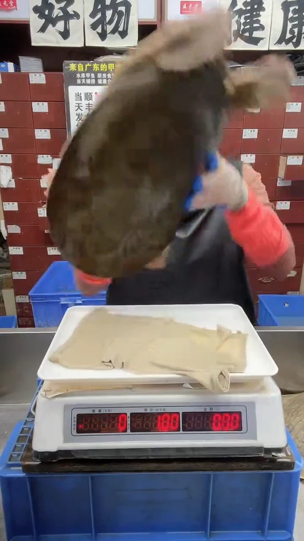 中国大陆j****u11.5斤一只