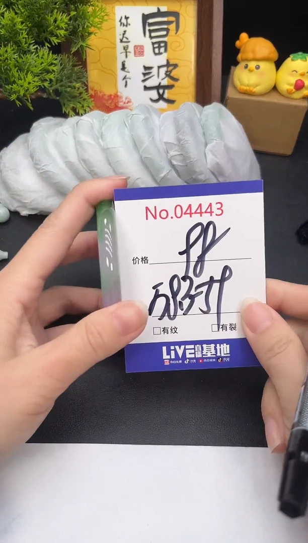 未镶嵌手镯翡翠4443