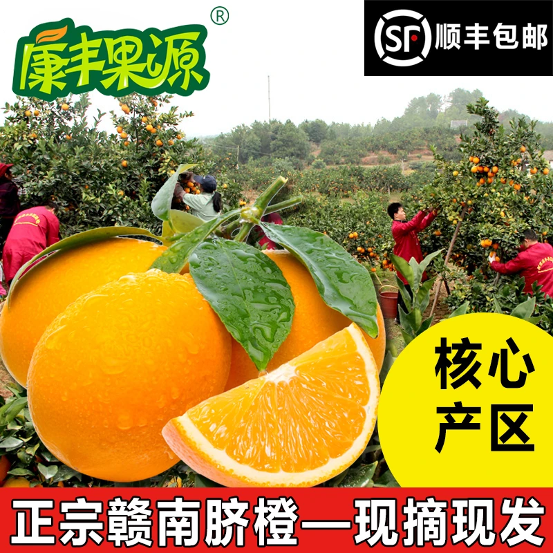 康丰果源5斤精品果【脐橙基地】赣南脐橙信丰安西脐橙原产地水果