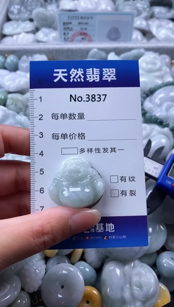翡翠未镶嵌颈饰缅甸A货翡翠3837