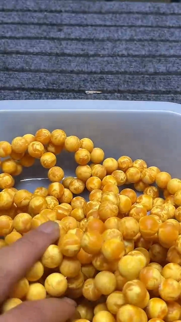 木C07大果紫檀缅甸花梨