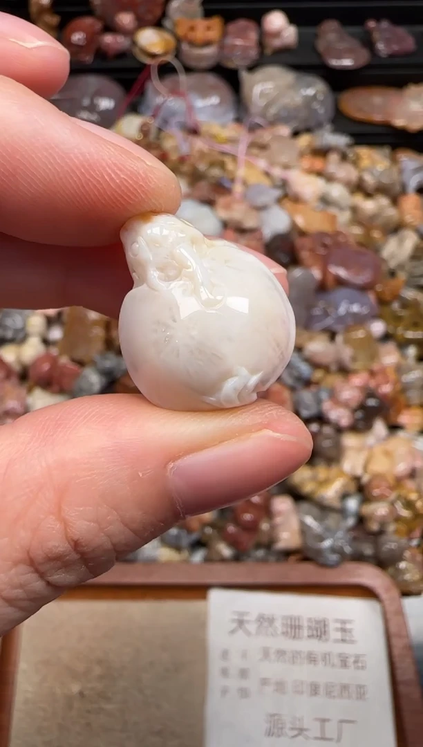 硅化珊瑚（珊瑚玉）未镶嵌颈饰496