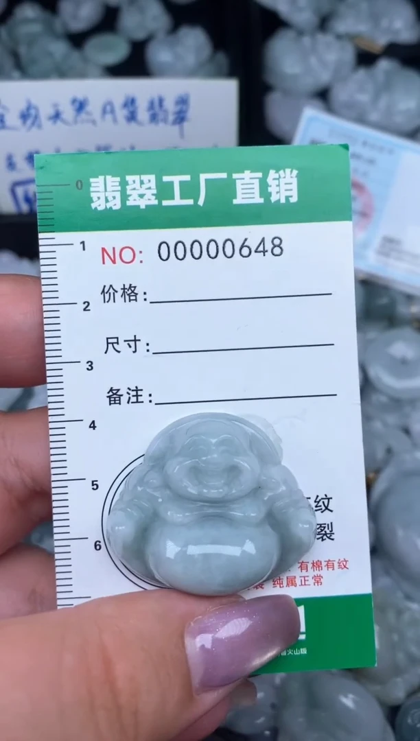 翡翠未镶嵌颈饰缅甸天然A货翡翠0648