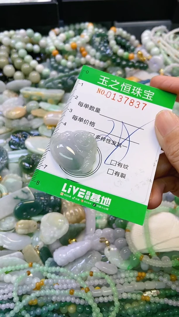 翡翠未镶嵌颈饰闪购0137837