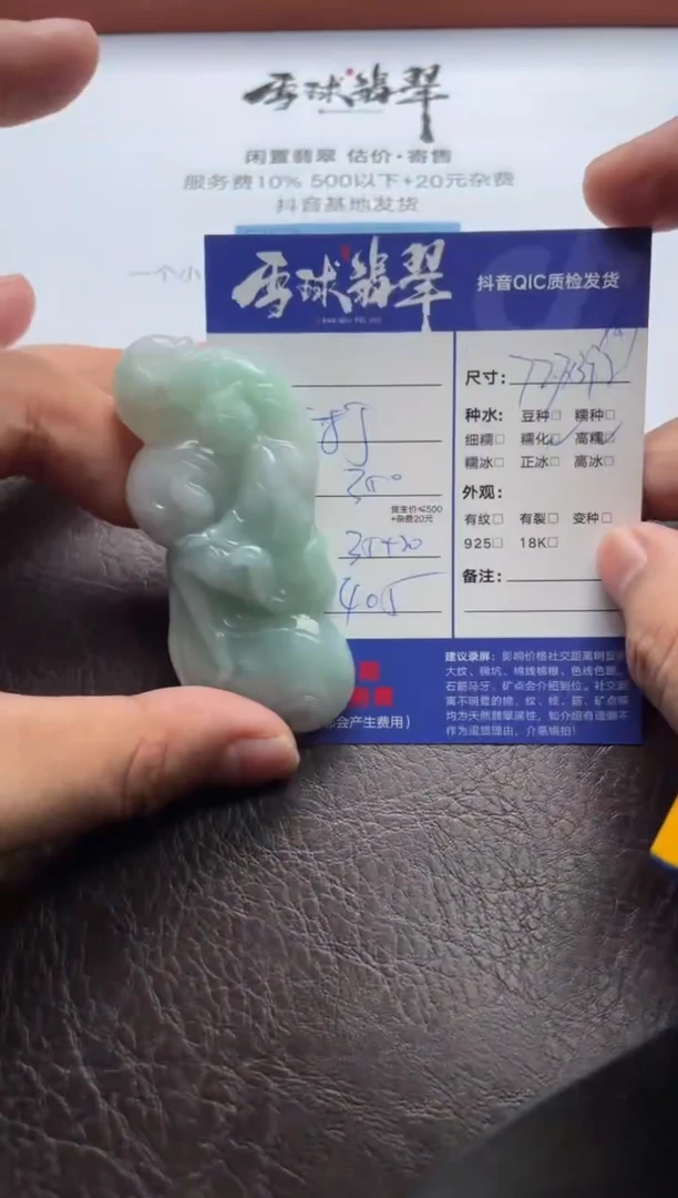 翡翠未镶嵌颈饰1538529007