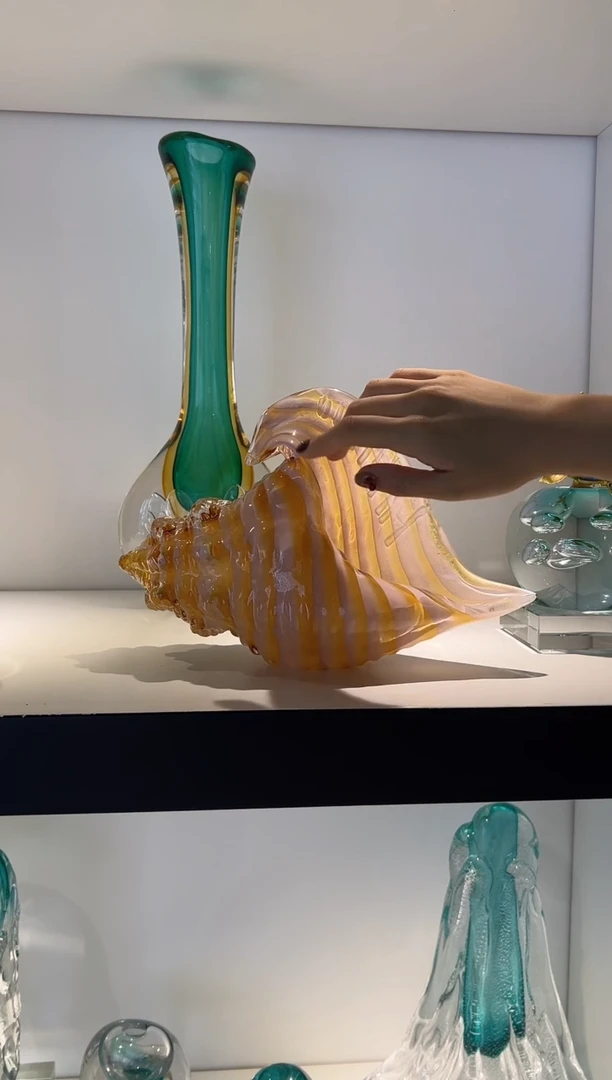 条纹大海螺 现货