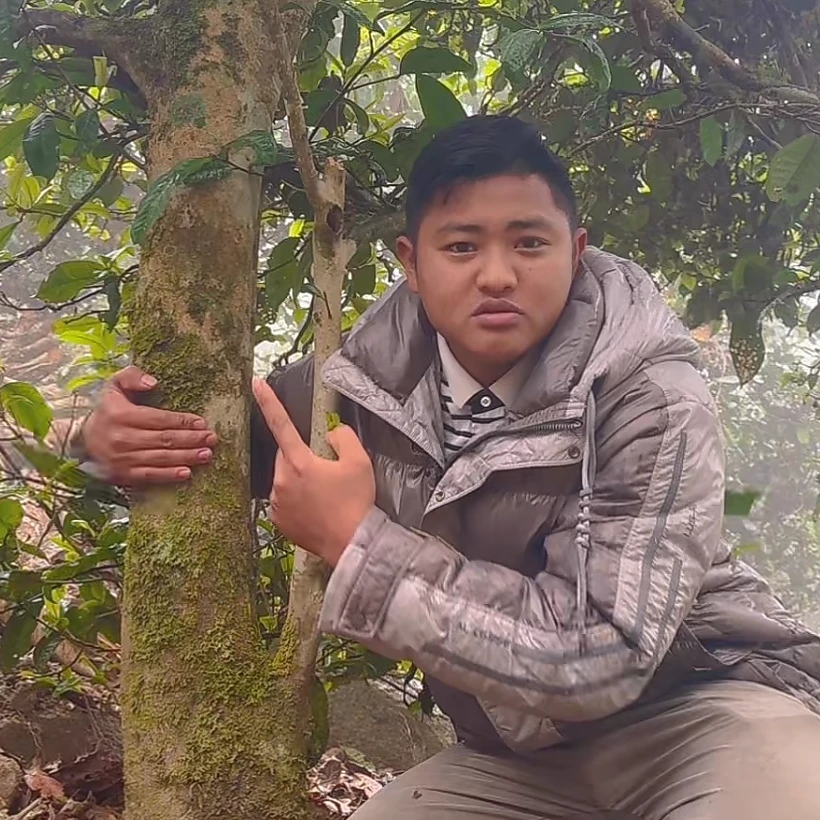 那卡双株  2025年那卡头春纯料 50g 精选山头云南普洱生茶散料