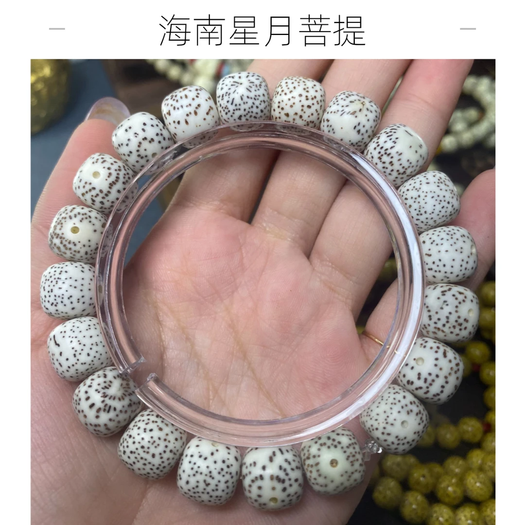 海南正宗星月菩提男士款原白大单圈款