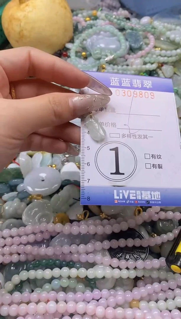 翡翠未镶嵌颈饰闪购0309809