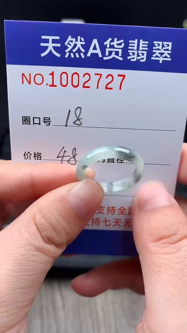 未镶嵌戒指翡翠燕*18#