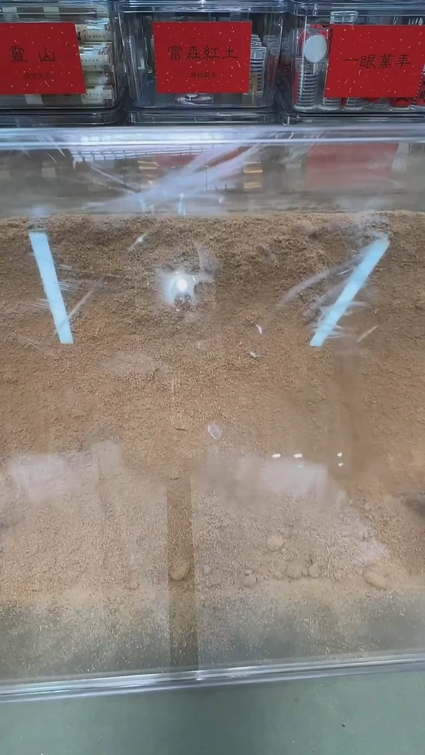 马泥涝奶香王锯沫10g装