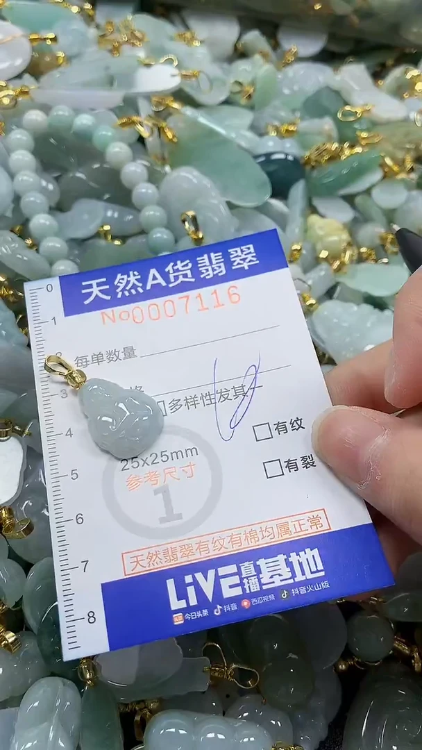 颈饰未镶嵌翡翠纯天然a货翡翠