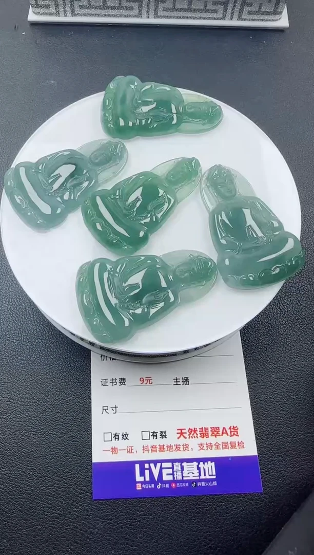 【闪购商品】翡翠颈饰未镶嵌翡翠素衣观音（多样性发其一）