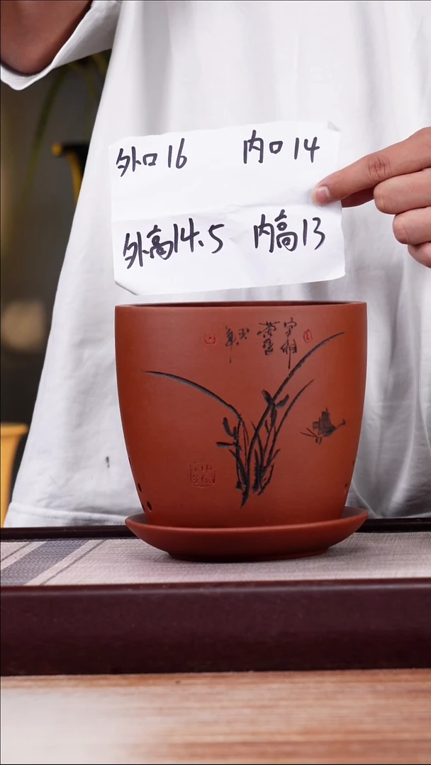 紫砂花盆清水泥君子兰2号一只带托