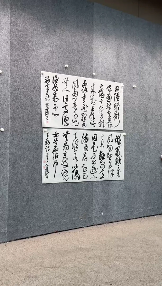 【闪购商品】书法pmw不二轩旗舰店书法JW15