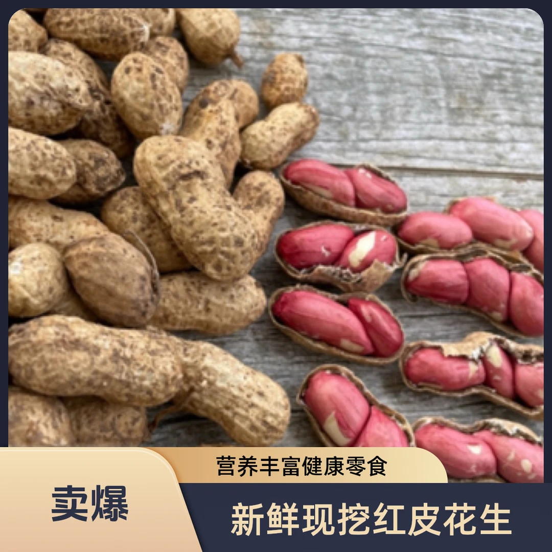 【水果花生】新鲜现挖带壳湿农家自种生吃花生米红皮鲜花生