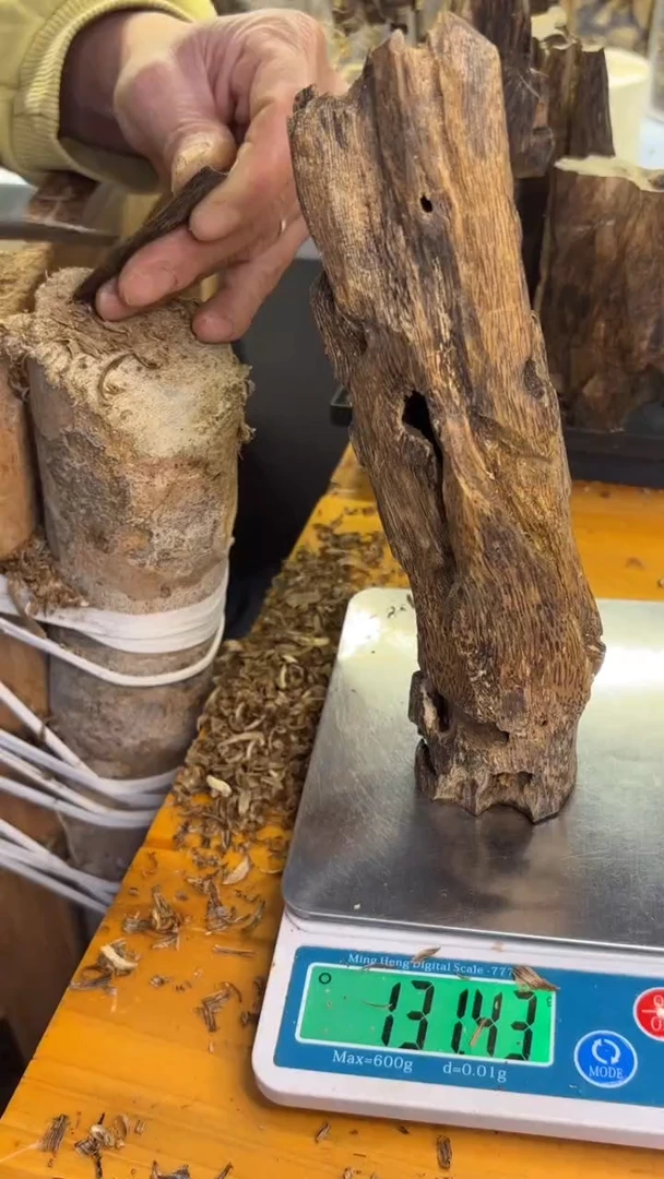 沉香沉香碎屑千里香品种131克