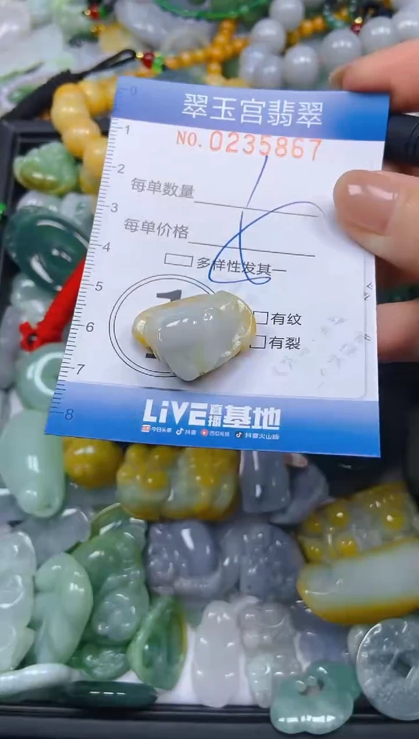 颈饰未镶嵌翡翠闪购C0235867