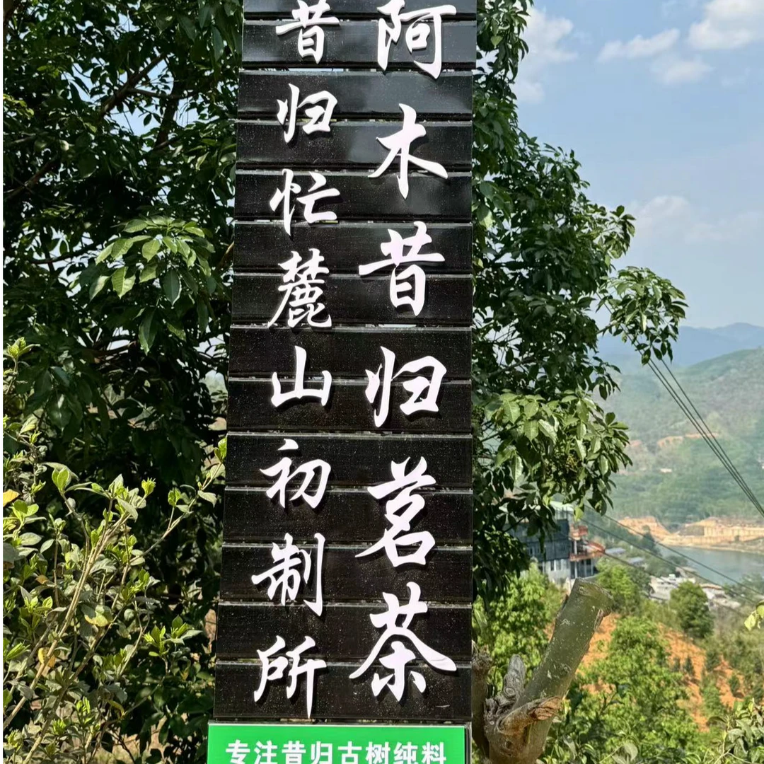 【稀有高货单株】2024年昔归忙麓山古树普洱茶散茶（生茶）