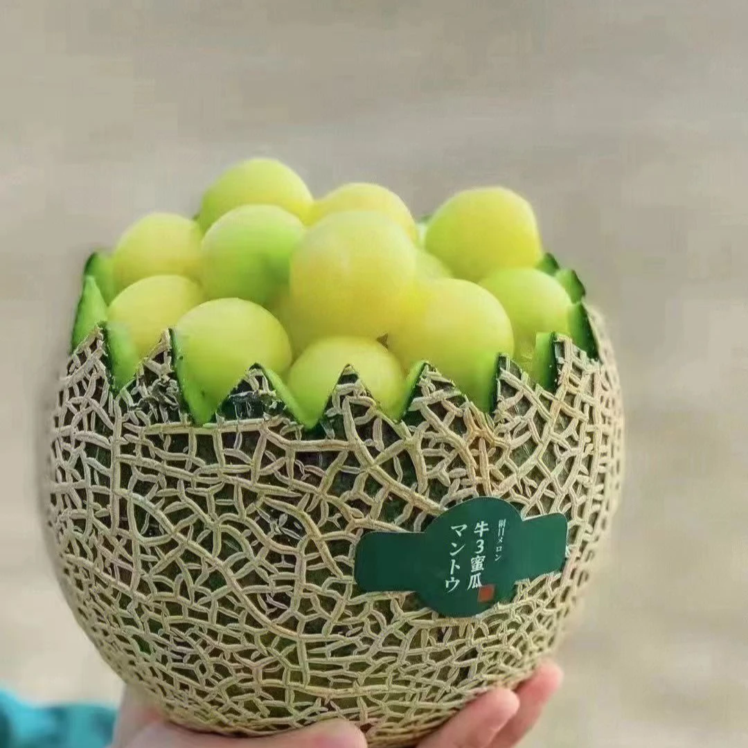 海南产地直发新鲜牛三蜜瓜网纹瓜玫珑瓜软糯香甜适合孕妇老少顺丰