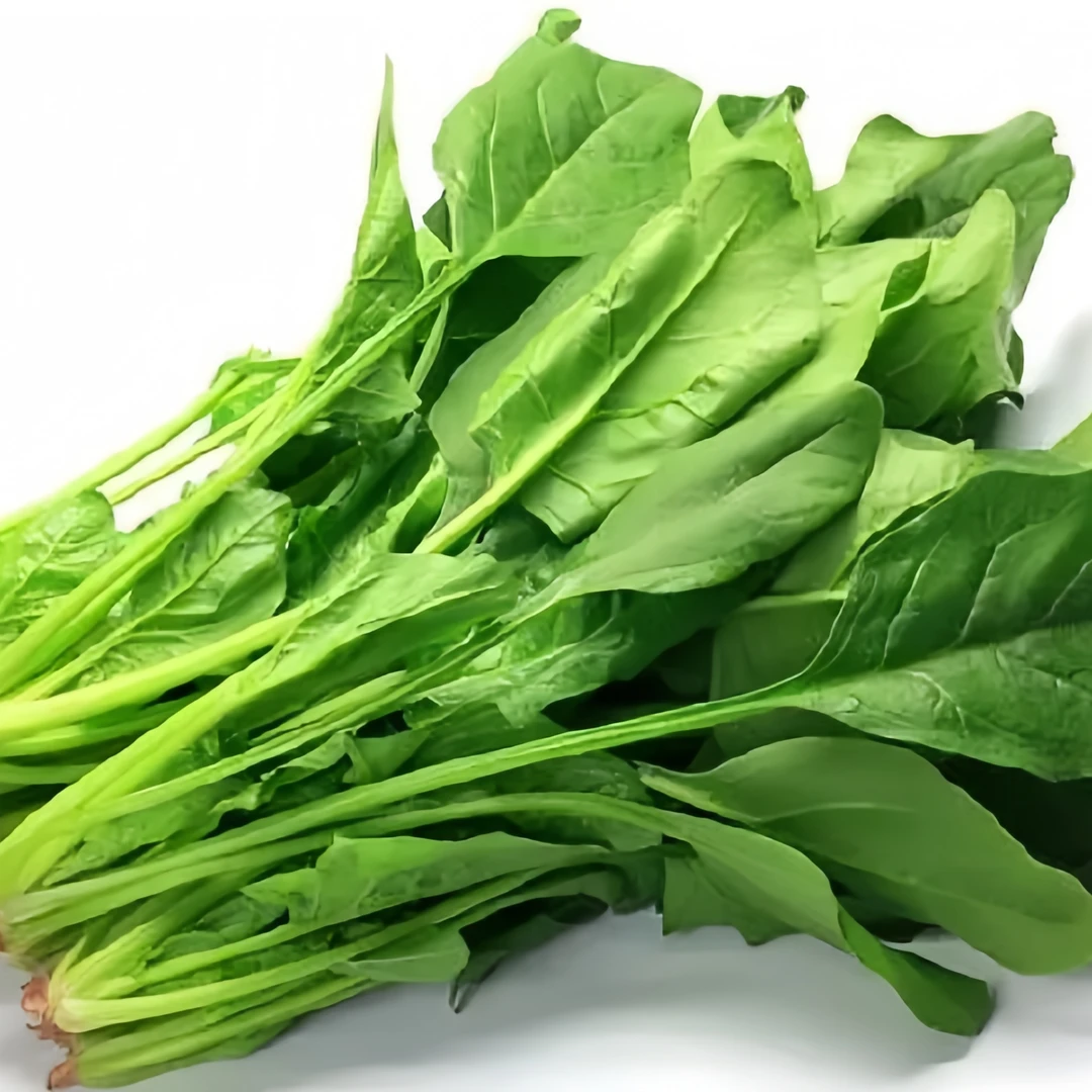 菠菜250g±50g~山东寿光