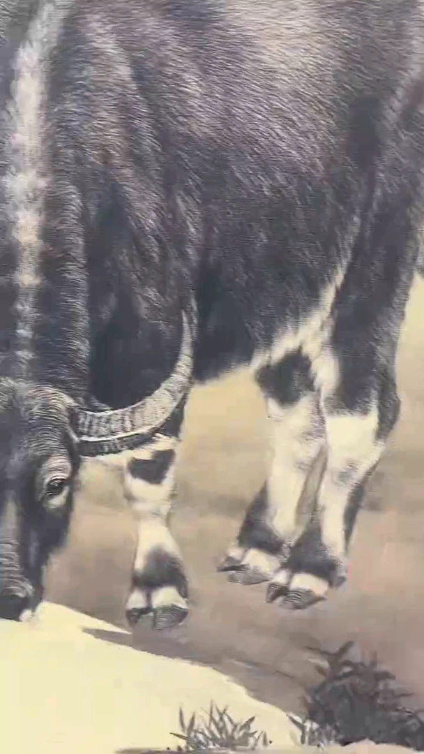 小美精选精品链接牛