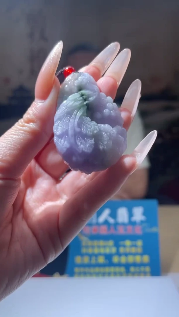 翡翠未镶嵌颈饰Z-@@YYC053001多样性发其一