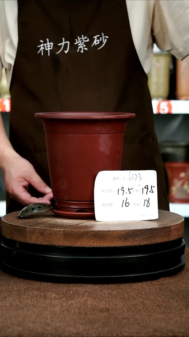 紫砂花盆花卉园艺6373+Z