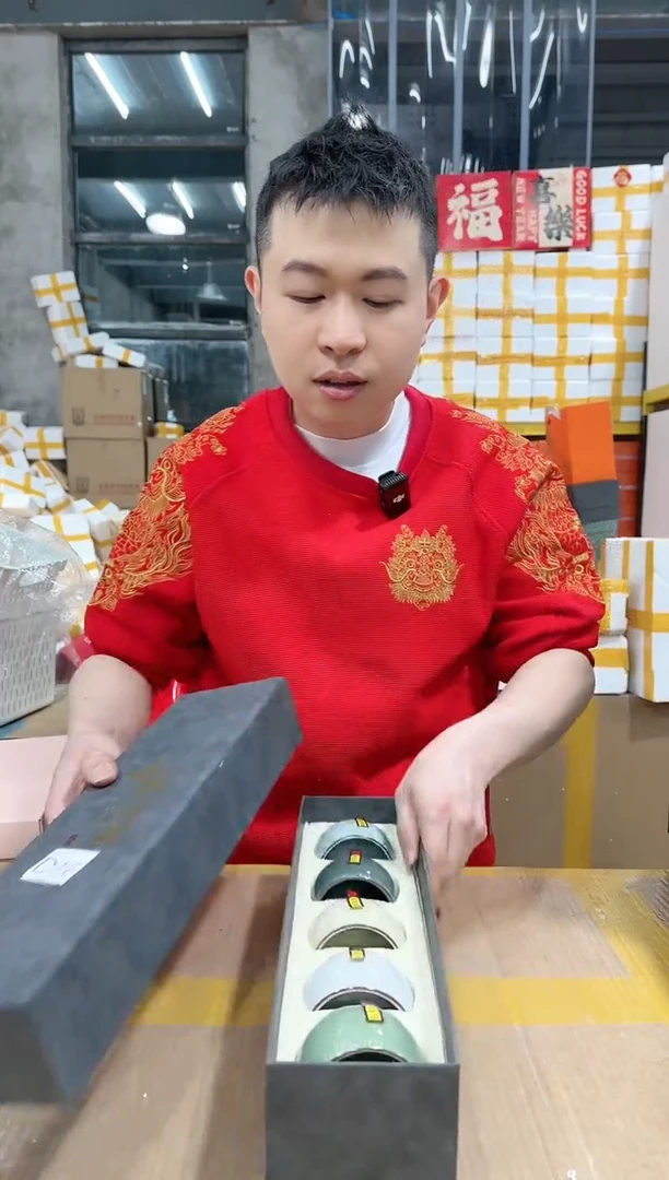 【闪购商品】NS-D16