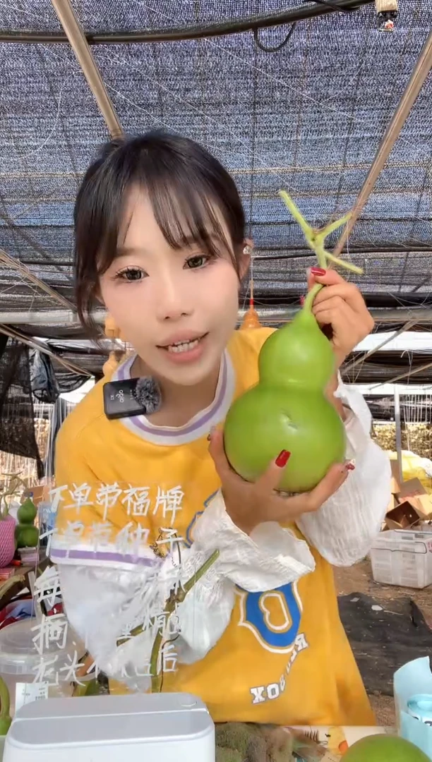553天然葫芦摆件 一物一拍龙头不保售后