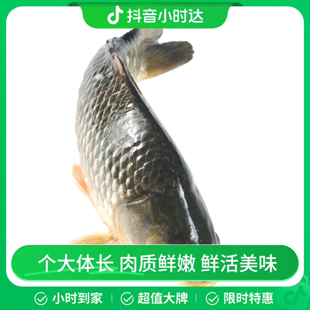 鲜活白鲫鱼 300-400g/只