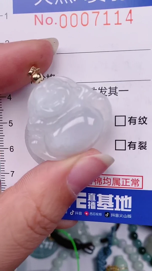 【闪购商品】翡翠颈饰未镶嵌00007114