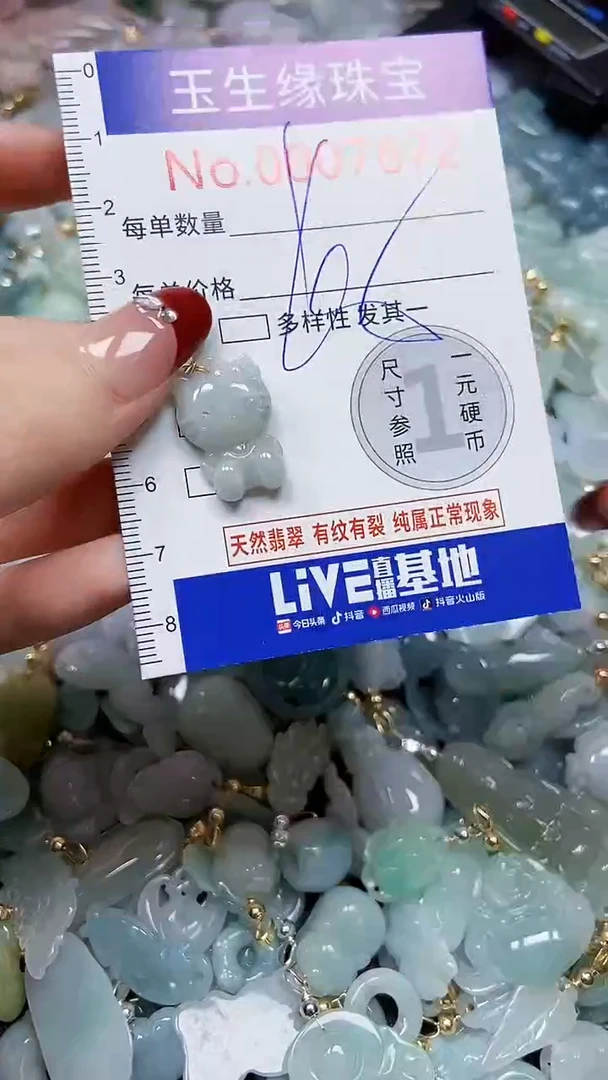 【闪购商品】翡翠颈饰未镶嵌闪购00007672