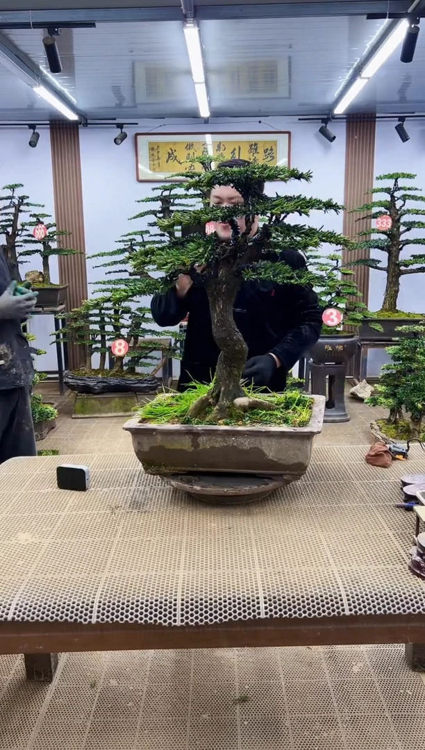 【闪购商品】00000000