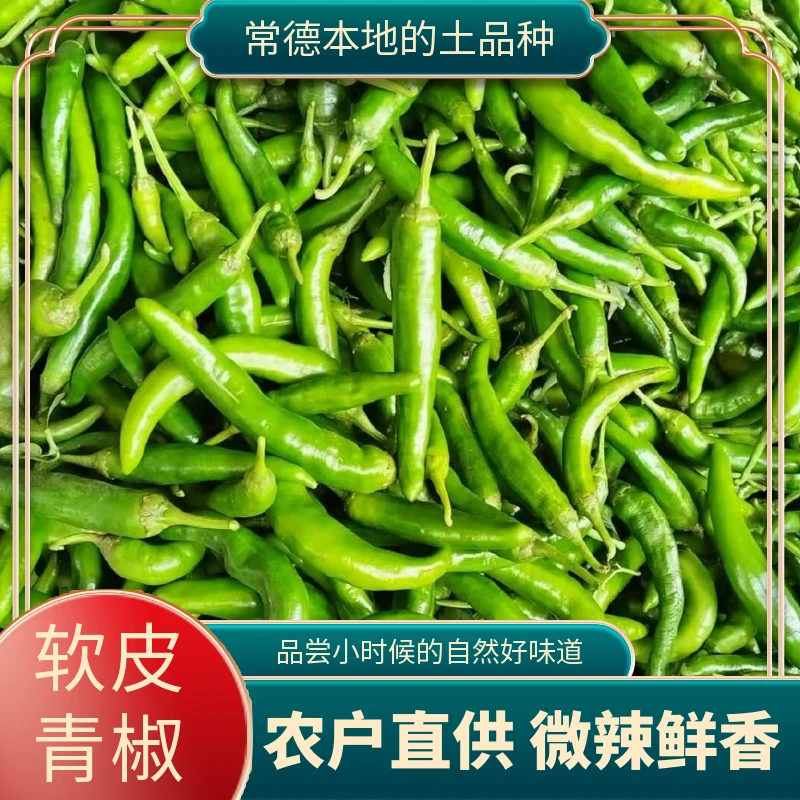 青辣椒软皮青椒农户自种常德港中坪土品种微辣鲜香农家菜