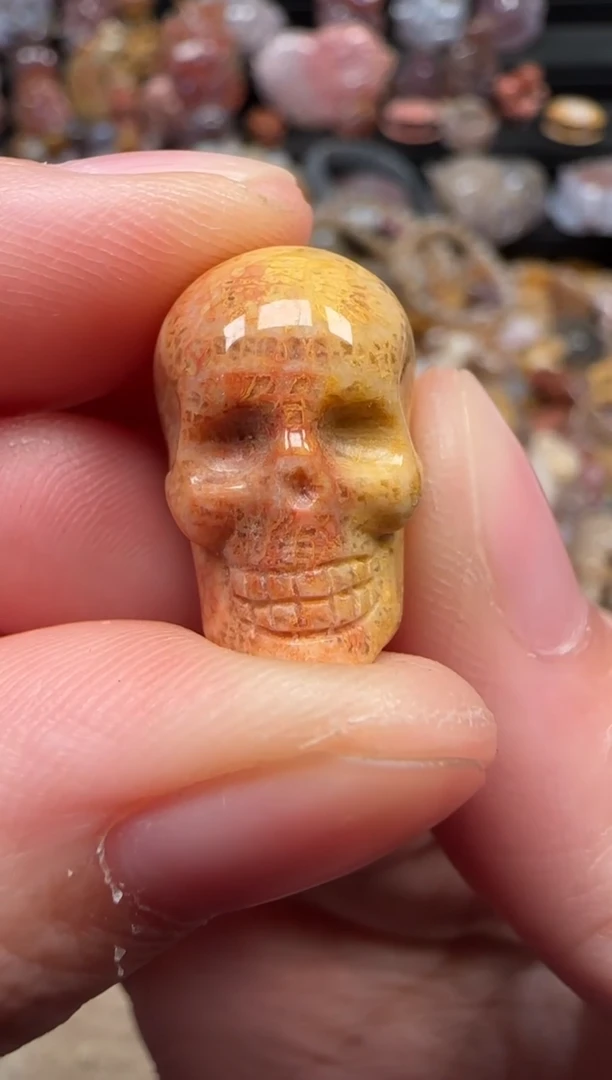 颈饰未镶嵌硅化珊瑚（珊瑚玉）547