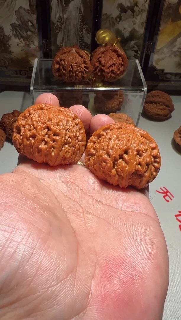 把件文玩核桃白狮子